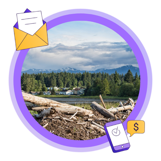 An image of driftwood on a beach with mountains in the background in Courtenay, BC
